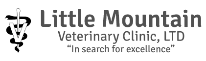 Little Mountain Veterinary Clinic